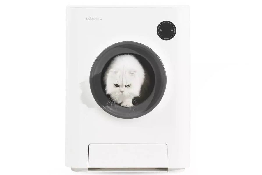 automatic kitten